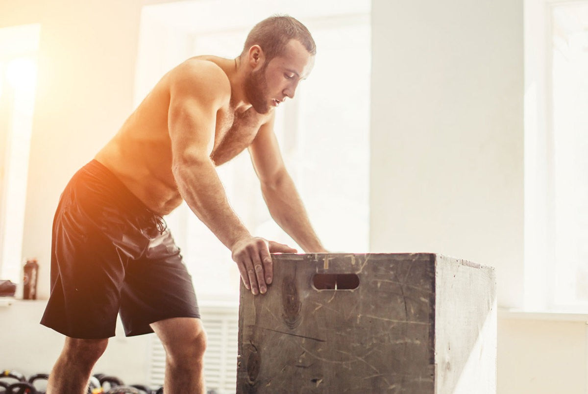 BCAAs vs. Whey Protein: Which One Should You Use for Muscle Recovery?